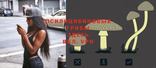 спиды Алзамай