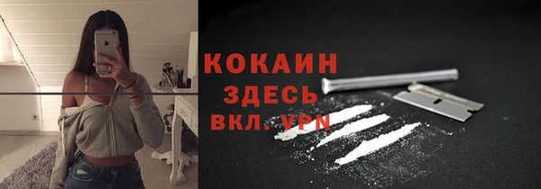 спиды Алзамай