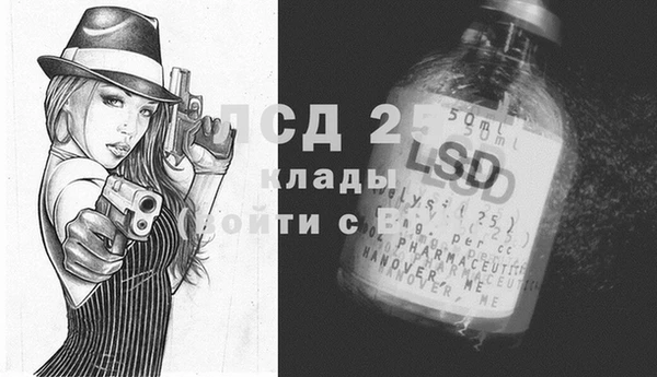 спиды Алзамай
