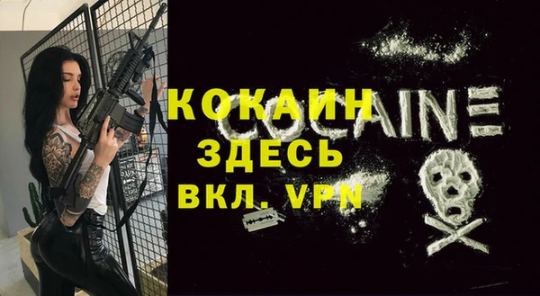 спиды Алзамай
