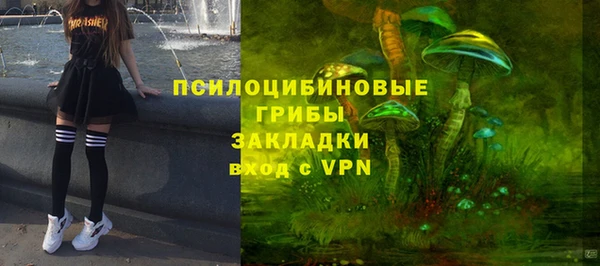 спиды Алзамай