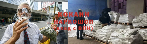 хмурый Алексин