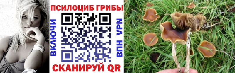 Галлюциногенные грибы мухоморы Киреевск