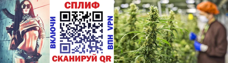 blacksprut ТОР  Киреевск  Каннабис ГИДРОПОН  закладка 
